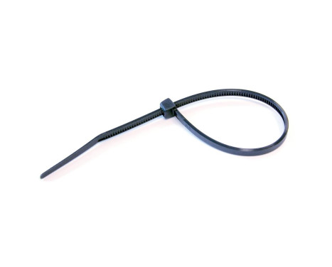 Bridas 100 piezas 200x3,6mm.