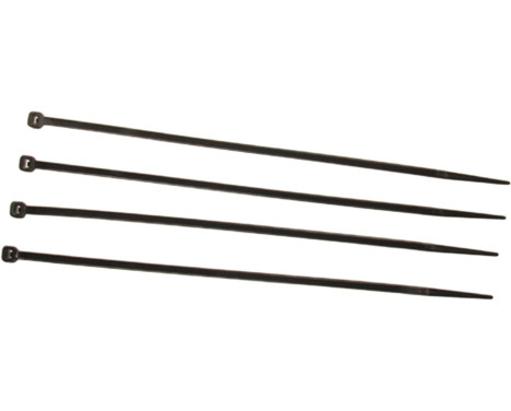 Ti-Rips 100 mm x 2,5 mm (100 piezas)