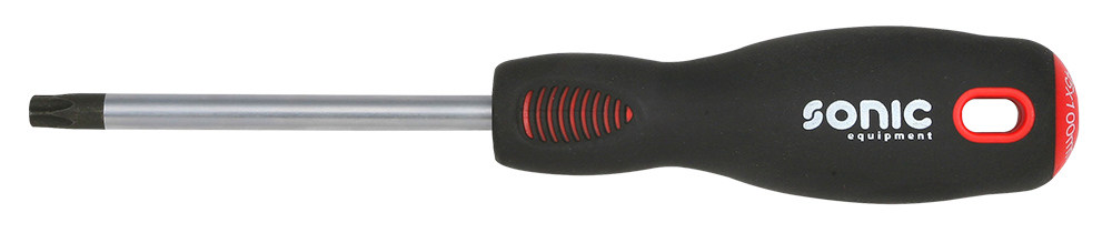 Screwdriver T45