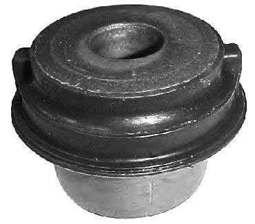 Control Arm-/Trailing Arm Bush 270175 ABS