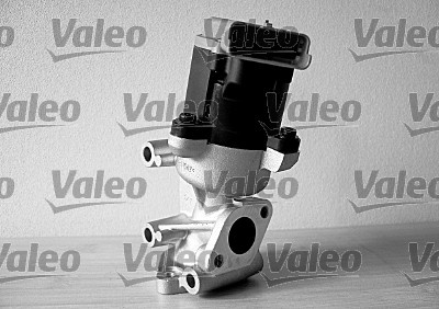 AgrVentil ORIGINAL PART 700411 Valeo