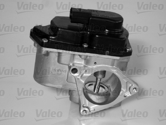 VALEO EGR valve VW,AUDI,SKODA 700424 03G131501,03G131501P,03L131501D Exhaust gas recirculation valve,EGR 03L131501E,03L131501G,03L131501K,3G131501