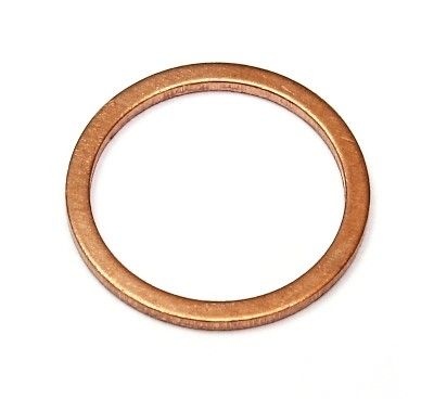 Seal Ring