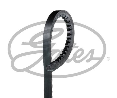 GATES V Belt FIAT,SEAT,HYUNDAI AVX13x775HD 3040280,9933210761,X696622900000 Fenner Belt 7689128,3904815,D5NN10C318C,231000140,5723102000,5723102010