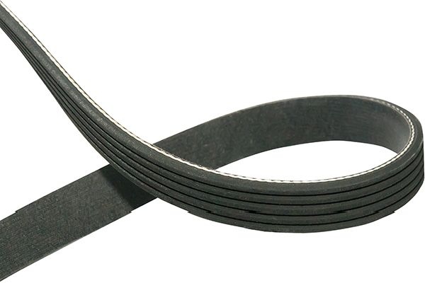 V-Ribbed Belts DMV-9021 Kavo Parts