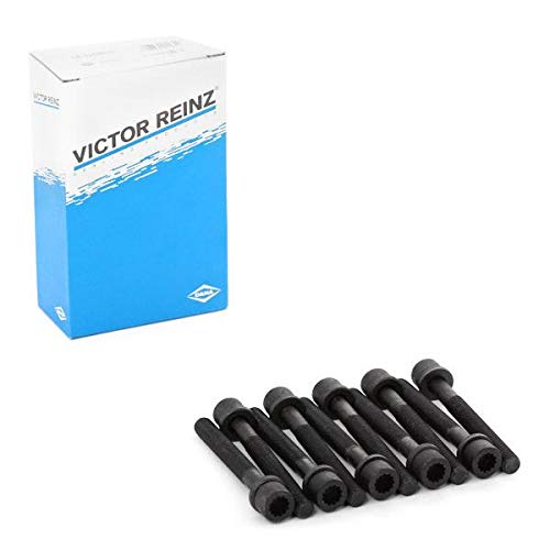 REINZ Cylinder Head Bolt Kit Female Star 14-32046-01 Bolt Kit, cylinder head VW,AUDI,SEAT,Transporter IV Bus (70B, 70C, 7DB, 7DK, 70J, 70K, 7DC, 7DJ)