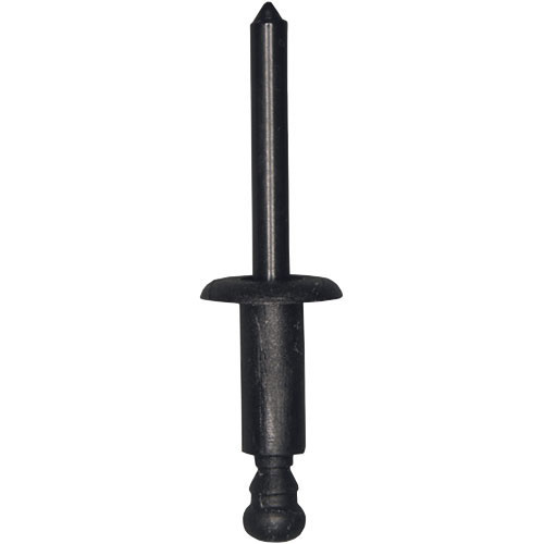 Blind Rivet OEM 5171195201 20 st