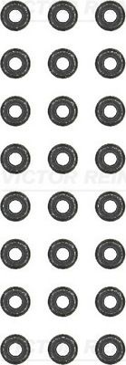 REINZ Seal Set, valve stem VW,AUDI,MERCEDES-BENZ 12-31306-05 464733424x,03610967524x,11349064457  5175438AA24x,09563824x,6060500058,464733424x