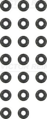 REINZ Seal Set, valve stem VW,AUDI,MERCEDES-BENZ 12-31306-03 03610967520x,6050500058,03610967520x 03610967520x,03610967520X,863165220x,03610967520x