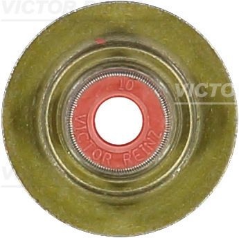 REINZ Valve Stem Seals OPEL,FIAT,CHEVROLET 70-36613-00 71739773,24405819,71739773 Valve Stem Oil Seals,Valve Seals,Seal, valve stem 71739773,24405819