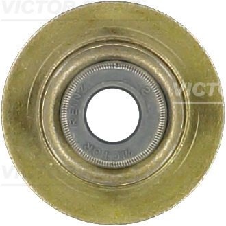 REINZ Valve Stem Seals 70-38546-00 Valve Stem Oil Seals,Valve Seals PEUGEOT,CITROËN,LAND ROVER,407 SW (6E_),407 (6D_),607 (9D, 9U),407 Coupe (6C_)