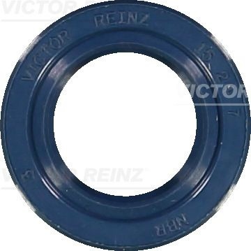 REINZ Gaskets 81-15293-10 Shaft Seal, manual transmission VW,AUDI,BMW,GOLF I Cabriolet (155),GOLF II (19E, 1G1),GOLF III (1H1),Lupo (6X1, 6E1)