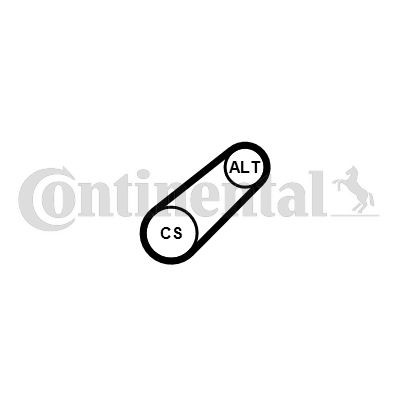 drivrem 6PK799 ELAST Contitech