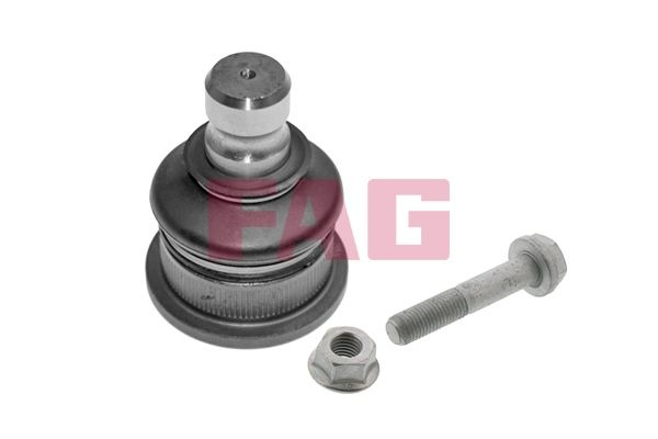 FAG Ball joint 825 0168 10 Suspension ball joint,Suspension arm ball joint RENAULT,DACIA,LADA,Clio III Schrägheck (BR0/1, CR0/1)