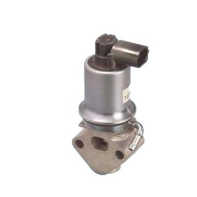 EGR Valve EV013