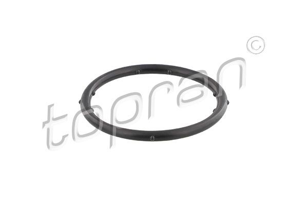 Gasket, coolant flange