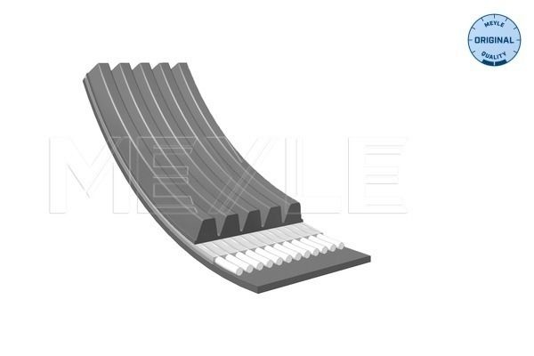Citroen Multi-Belt