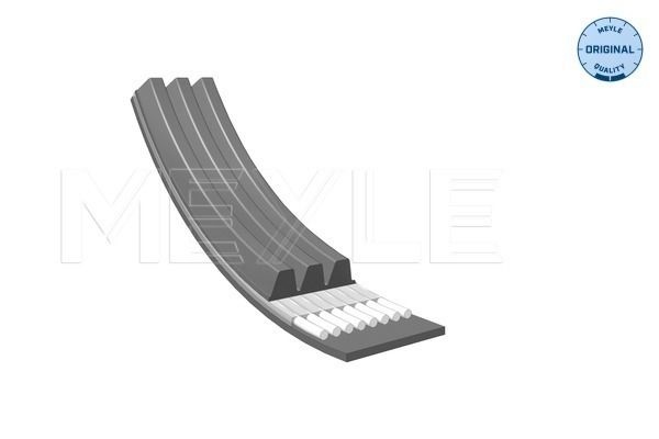 Citroen Multi-Belt