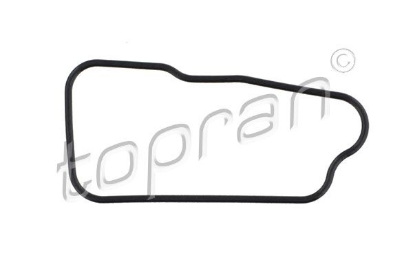 Gasket, thermostat housing