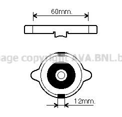 Sealing Cap, radiator