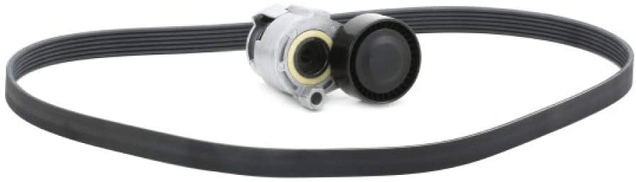 CONTITECH V-ribbed belt set RENAULT,NISSAN,DACIA 6PK1200K1 6PK1200,117203694R,117206843R 117209782R,7701476476,117203694R,117206843R,117209782R