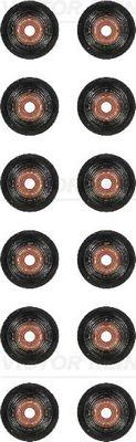 REINZ Seal Set, valve stem 12-37728-02  FORD,Fiesta Mk6 Schrägheck (JA8, JR8),FOCUS III Turnier,FOCUS III,Mondeo V Kombi (CF)