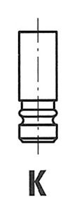 Outlet Valve