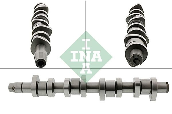 INA Camshaft 428 0110 10 Cam Kit,Camshaft Kit VW,AUDI,FORD,Golf IV Schrägheck (1J1),Golf V Schrägheck (1K1),POLO (9N_),TOURAN (1T1, 1T2)