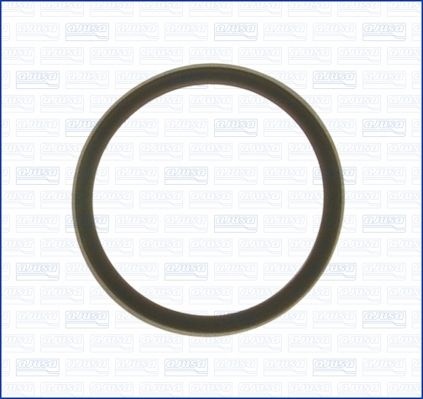 AJUSA Gaskets FORD,MAZDA,JAGUAR 00975700 134090,9467538980,1098228 Gasket, thermostat W704553S300,JDE1292,LR004613,PEF10010,9XG04553X0,134090,PEF10010