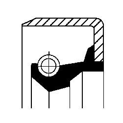 Sealing ring