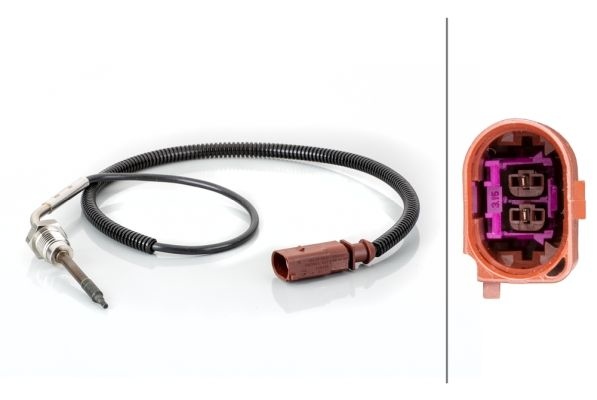 Sensor avgastemperatur