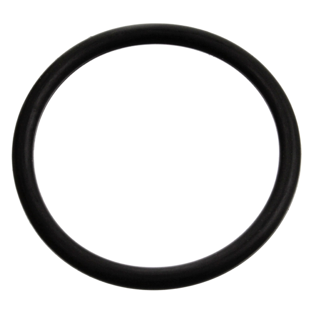 FEBI BILSTEIN Gaskets 17970 Gasket, thermostat VW,AUDI,GOLF I Cabriolet (155),GOLF II (19E, 1G1),GOLF I (17),Polo Coupe (86C, 80)