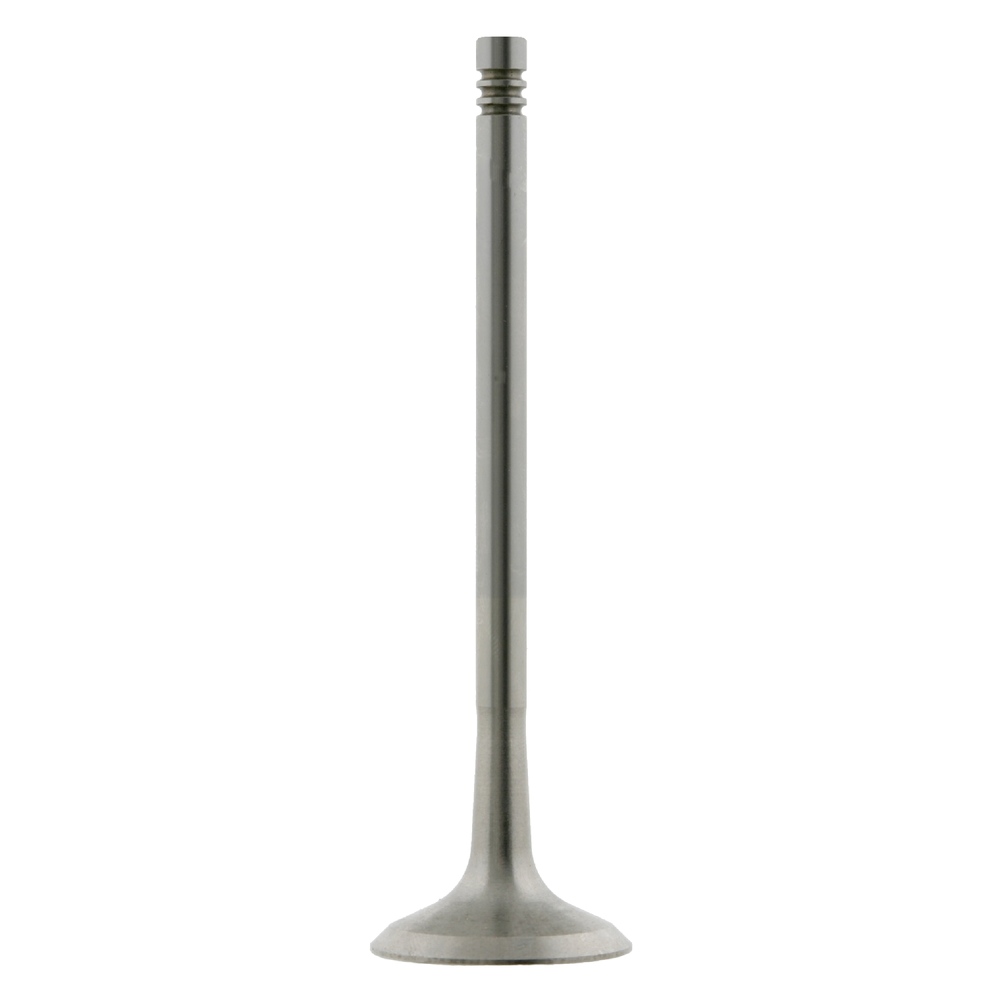 FEBI BILSTEIN Exhaust Valve 24161 BMW,3 Limousine (E46),5 Limousine (E60),5 Touring (E61),5 Limousine (E39),3 Touring (E46),X3 (E83),3 Coupe (E46)