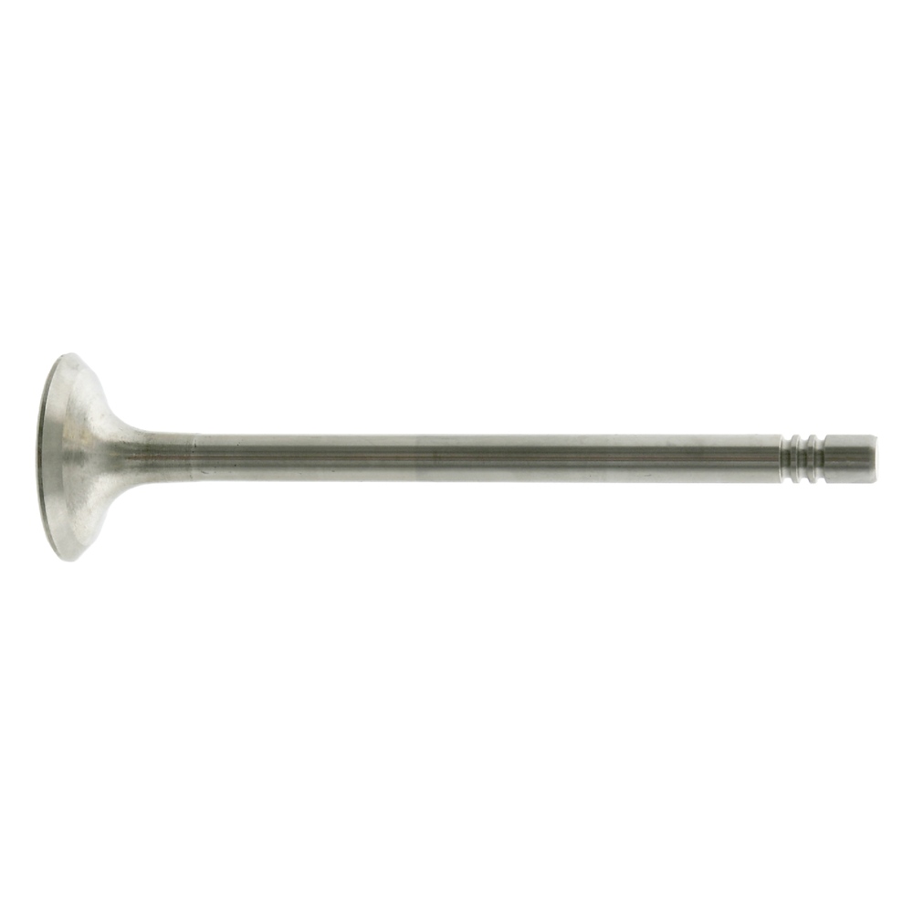 FEBI BILSTEIN Exhaust Valve 27366  VW,AUDI,SKODA,Golf IV Schrägheck (1J1),Golf V Schrägheck (1K1),POLO (9N_),TOURAN (1T1, 1T2),GOLF VI (5K1)
