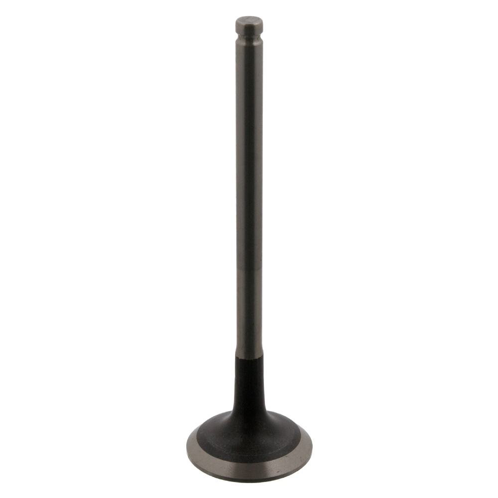 FEBI BILSTEIN Exhaust Valve 34386 RENAULT,CLIO II (BB0/1/2_, CB0/1/2_),TWINGO I (C06_),TWINGO II (CN0_),KANGOO (KC0/1_),KANGOO Express (FC0/1_)