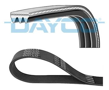 Dayco Multibalte Nissan 3Pk800s Små