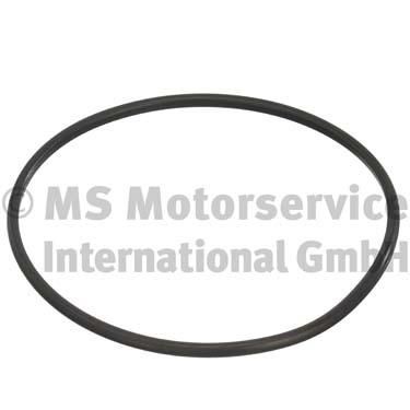 PIERBURG Gaskets 3.32038.02.0 Seal, fuel sender unit RENAULT,NISSAN,DACIA,Clio III Schrägheck (BR0/1, CR0/1),CLIO II (BB0/1/2_, CB0/1/2_)