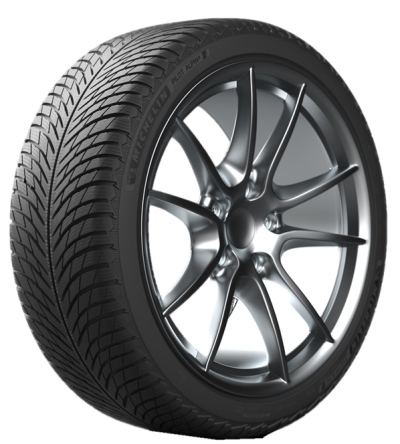 Michelin Pilot Alpin 5 (225/50 R17 98H)