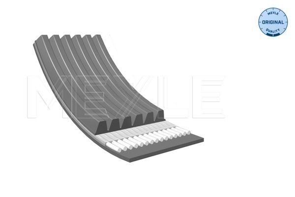 Multi-belt