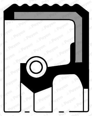 PAYEN Crankshaft Seal VW,AUDI,FORD NA5001 1004928,026103085A,068103085E Crankshaft Gasket,Shaft Seal, crankshaft 1257221,12572210,026103085D