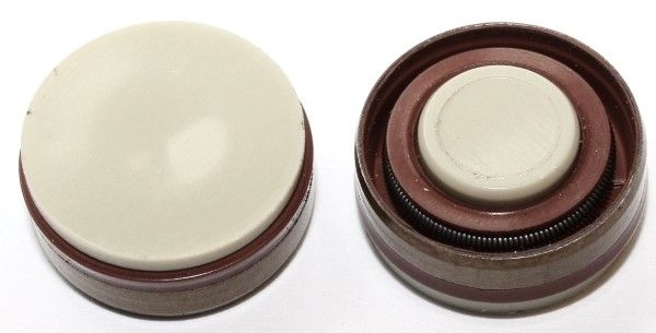 ELRING Seal 758.876  VW,AUDI,RENAULT,Golf IV Schrägheck (1J1),GOLF I Cabriolet (155),GOLF II (19E, 1G1),GOLF III (1H1),Golf IV Variant (1J5)