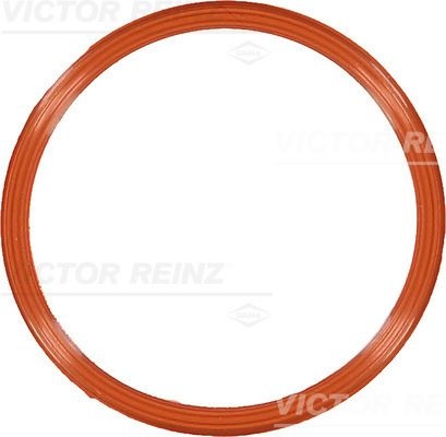 REINZ Intake Manifold Gasket VW,AUDI 71-10829-00 059129717S,059129717S,059129717S Inlet Manifold Gasket,Gasket, intake manifold 059129717S,059129717S