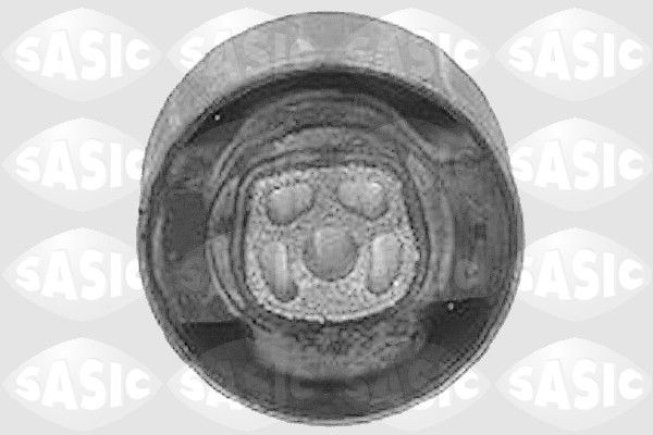 SASIC Holder, engine mounting PEUGEOT,CITROËN,DS 8091331 1807EA,1807ER,1807FH 1807GS,1807H8,1807HA,1807HC,1807J2,1807N0,1807N2,1807V6,1807X4,1807X5