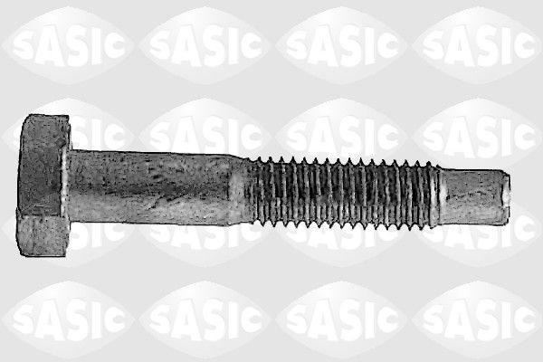 SASIC Clamping Screw, support-/steering link VW,AUDI,SEAT 5223433 895407241K,895407242K,352243 352243,895407241K,895407242K,895407241K,895407242K