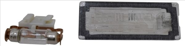 TYC Number Plate Light both sides 15-0315-00-2 Licence Plate Light FIAT,PEUGEOT,CITROËN,Ducato Kastenwagen (250_, 290_),Ducato Bus (250_, 290_)