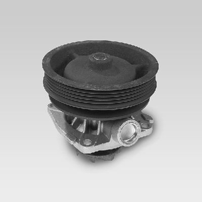 Fiat Water Pump