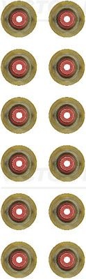 REINZ Seal Set, valve stem OPEL,FIAT,PEUGEOT 12-12155-01 1611289780,1611510280,1623068580 1611289780,1611510280,1623068580,1637834180,1654507180