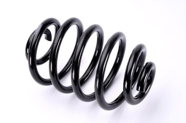Magnum Technology Spiralfjader