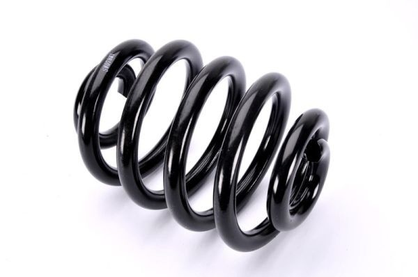 Magnum Technology Spiralfjader