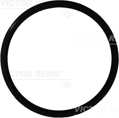 tatningsring 407616500 Viktor Reinz